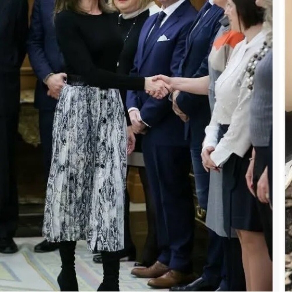 Zara Gray Snake Print Pleated Button Front Maxi S… - image 4